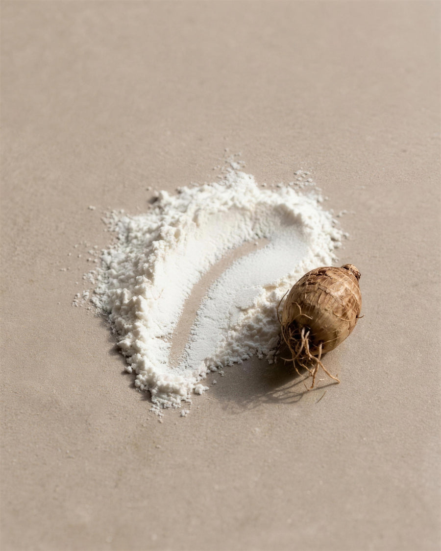 Tapioka und Arrowroot